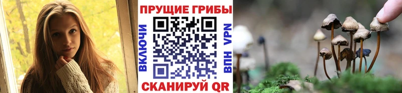 KRAKEN tor  где продают наркотики  Лермонтов  Галлюциногенные грибы мицелий 